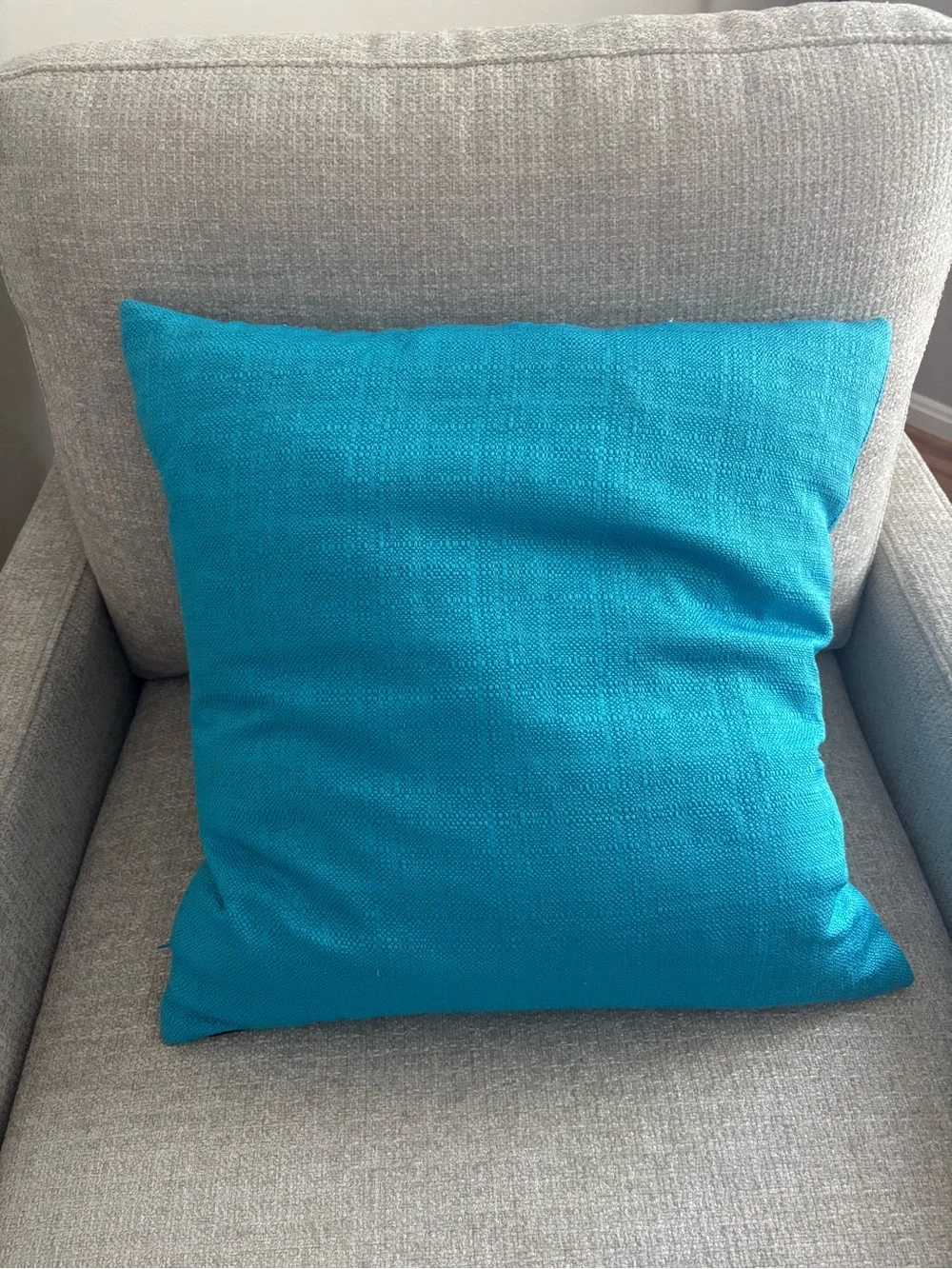 2 Throw Pillows